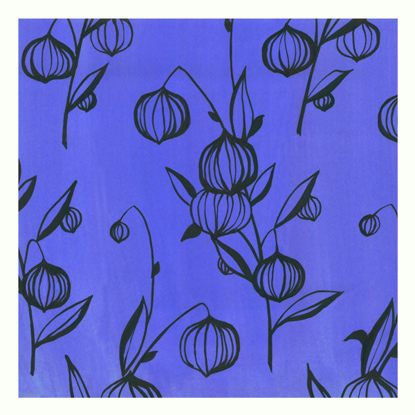 Lantern Flower