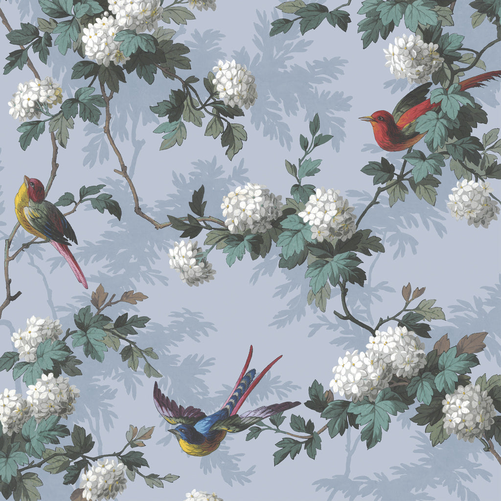Bird Print