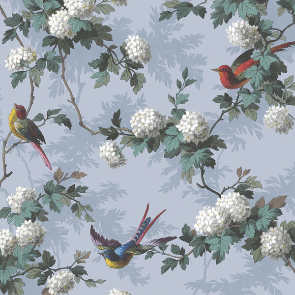 Bird Print