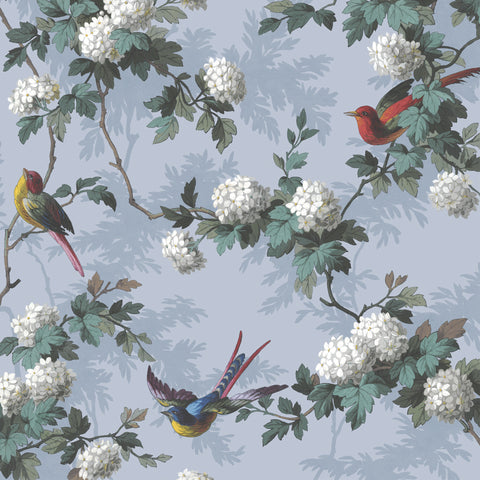 Bird Print